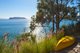 Photo - 24 Ross Smith Parade, Great Mackerel Beach NSW 2108 - Image 22