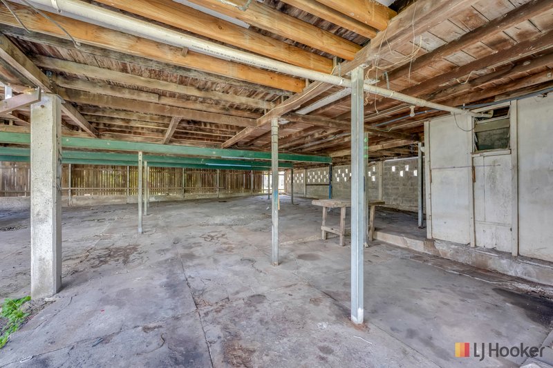 Photo - 24 Scotland Street, Bundaberg East QLD 4670 - Image 20
