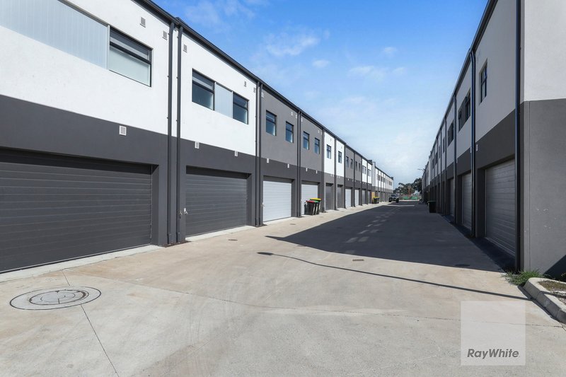 Photo - 24 Shingleback Walk, Mickleham VIC 3064 - Image 15