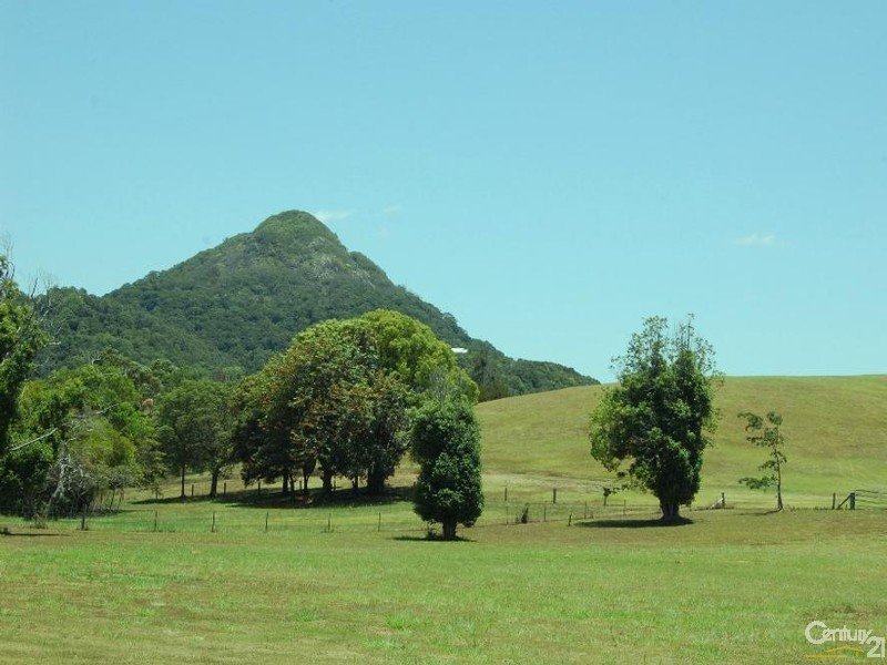 Photo - 24 Solar Road, Eumundi QLD 4562 - Image 3