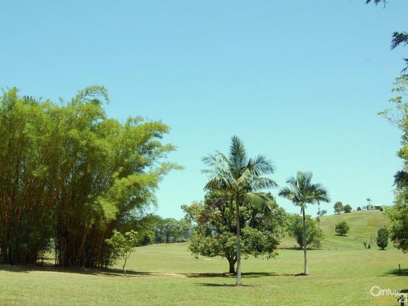 Photo - 24 Solar Road, Eumundi QLD 4562 - Image 6