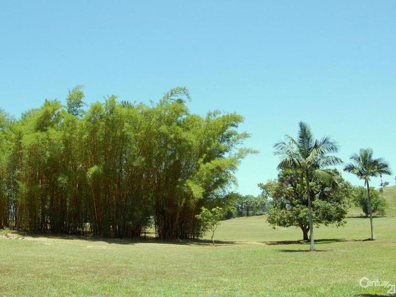 Photo - 24 Solar Road, Eumundi QLD 4562 - Image 7