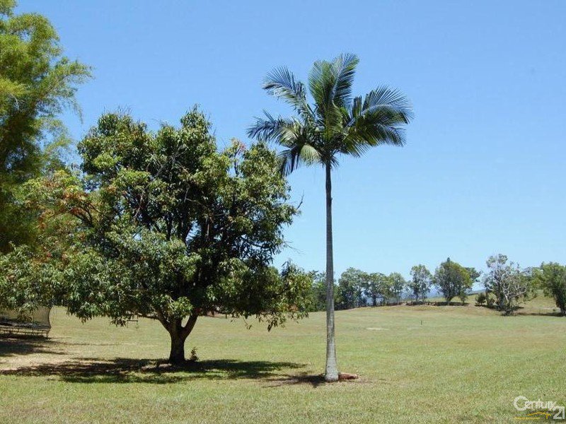 Photo - 24 Solar Road, Eumundi QLD 4562 - Image 8