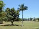 Photo - 24 Solar Road, Eumundi QLD 4562 - Image 8