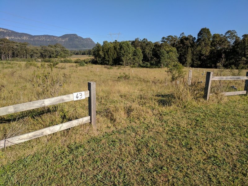 Photo - 24 Spring Harvest Close, Pokolbin NSW 2320 - Image 2