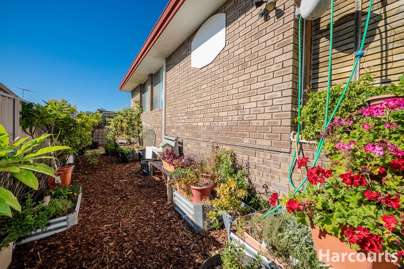 Photo - 24 Squire Avenue, Heathridge WA 6027 - Image 32