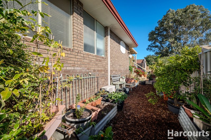 Photo - 24 Squire Avenue, Heathridge WA 6027 - Image 34