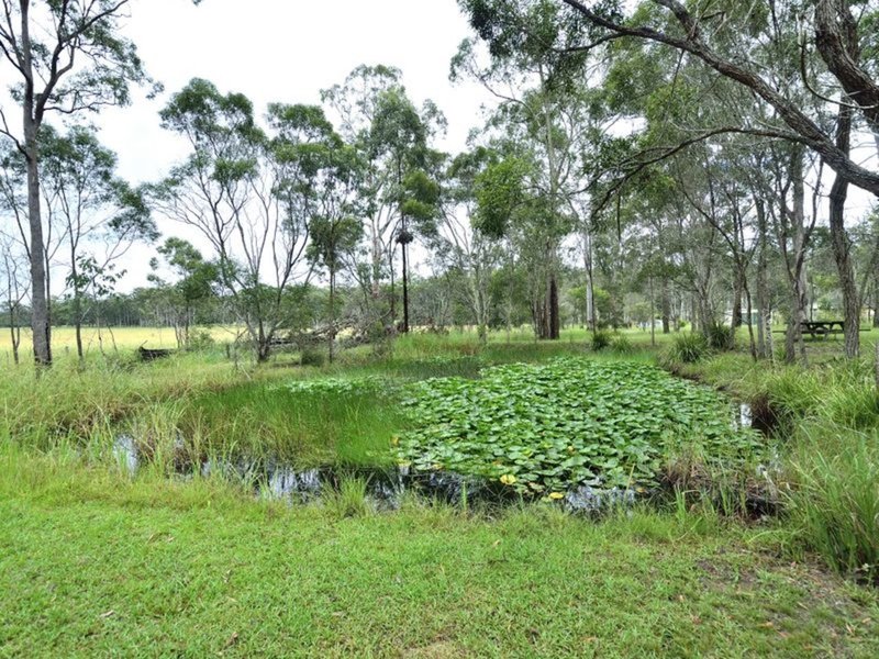 Photo - 24 The Ponds Way, Aldavilla NSW 2440 - Image 3