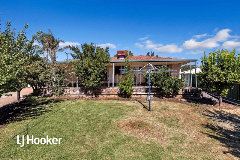 Photo - 24 Thorndon Crescent, Paradise SA 5075 - Image 8