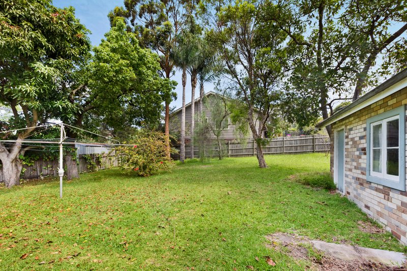 Photo - 24 Tor Road, Dee Why NSW 2099 - Image 3