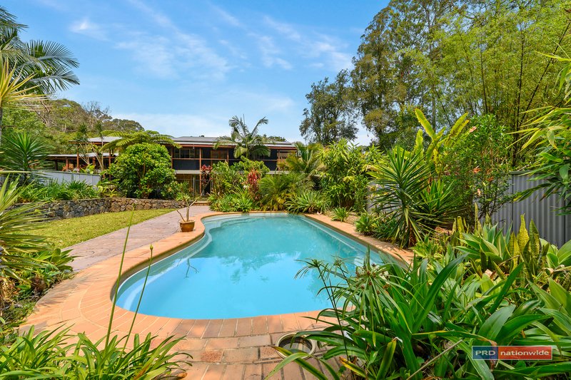 Photo - 24 Tree Fern Close, Repton NSW 2454 - Image 22