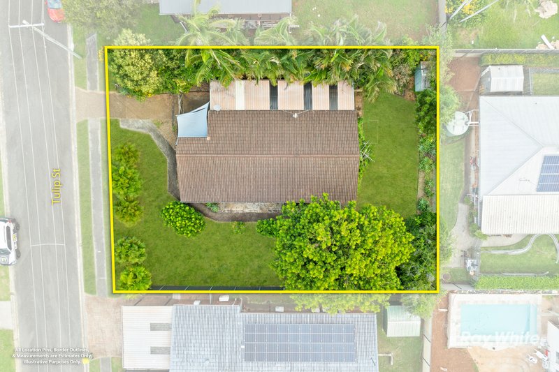 Photo - 24 Tulip Street, Daisy Hill QLD 4127 - Image 4