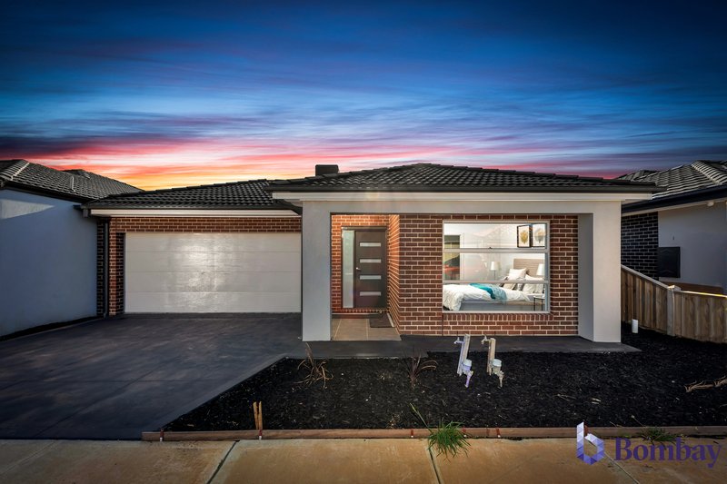 Photo - 24 Turmeric Avenue, Mickleham VIC 3064 - Image 13