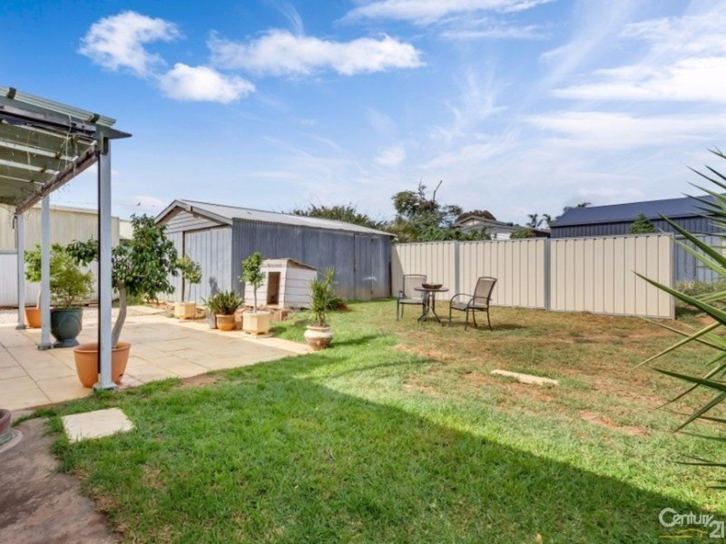 Photo - 24 Walsh Avenue, St Marys SA 5042 - Image 3