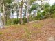 Photo - 24 Wattlebird Way, Malua Bay NSW 2536 - Image 2