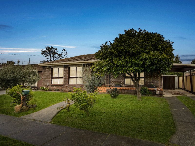 Photo - 24 Wilma Avenue, Mulgrave VIC 3170 - Image 1