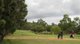 Photo - 24 Wilson Street, Nannup WA 6275 - Image 6