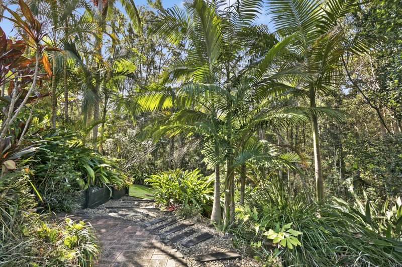 Photo - 24 Wisteria Court, Tallebudgera Valley QLD 4228 - Image 10