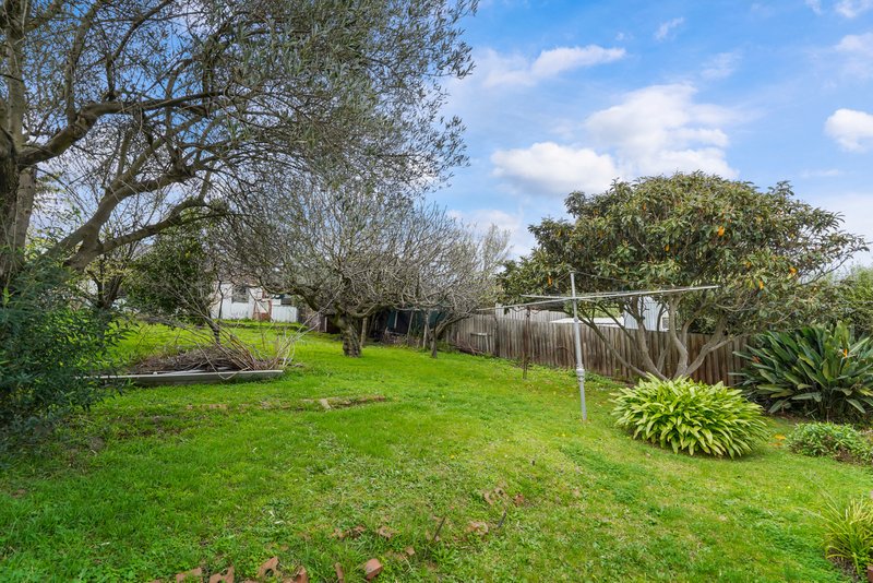 Photo - 24 Zenith Street, Pascoe Vale VIC 3044 - Image 10