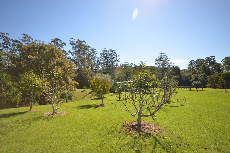 Photo - 240 Deep Creek Road, Hannam Vale NSW 2443 - Image 16