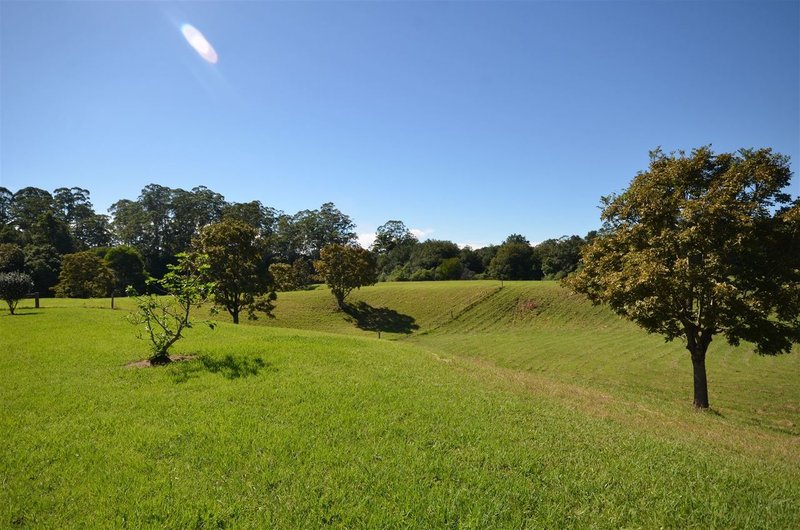 Photo - 240 Deep Creek Road, Hannam Vale NSW 2443 - Image 17