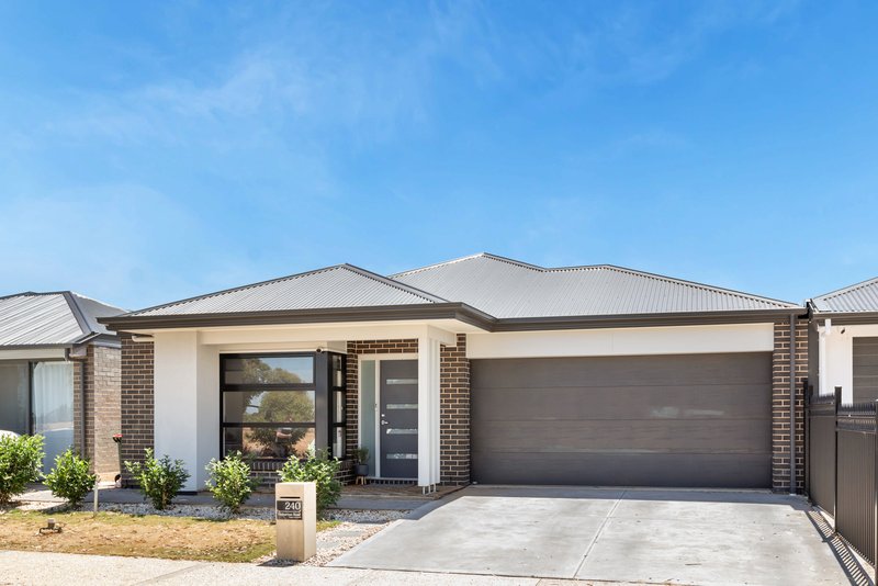 240 Petherton Road, Andrews Farm SA 5114