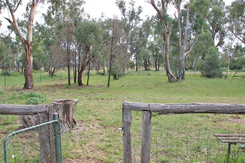 Photo - 2401 Purlewaugh Road, Purlewaugh NSW 2357 - Image 14