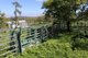 Photo - 2414 Oakey-Pittsworth Road, Mount Tyson QLD 4356 - Image 3