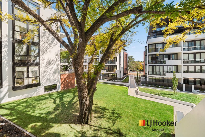 Photo - 24/17 Captain Cook Crescent, Griffith ACT 2603 - Image 21