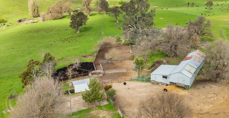 Photo - 242 Back Nacki Creek Road, Sharps Creek NSW 2729 - Image 7