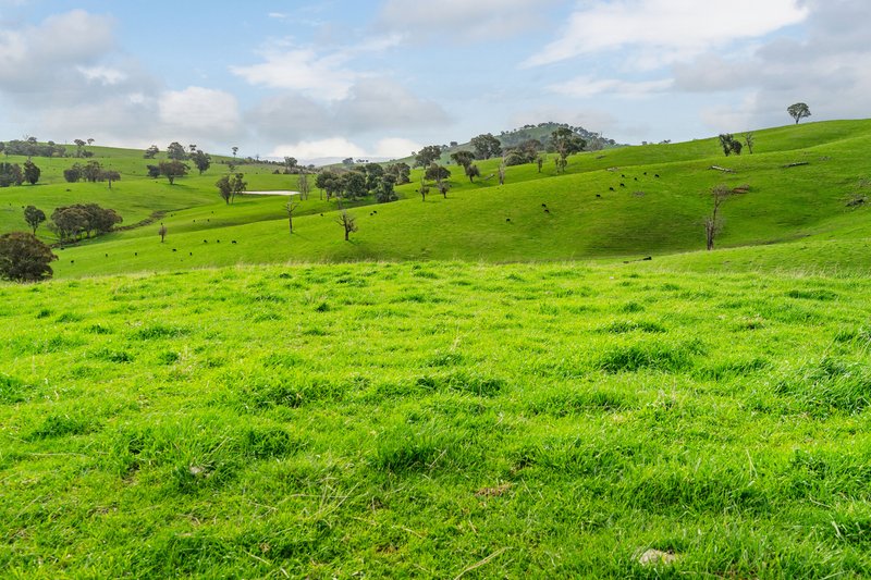 Photo - 242 Back Nacki Creek Road, Sharps Creek NSW 2729 - Image 11