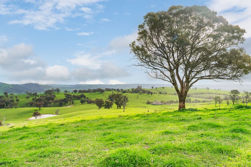 Photo - 242 Back Nacki Creek Road, Sharps Creek NSW 2729 - Image 12