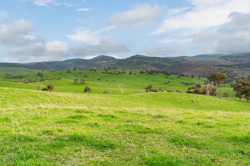 Photo - 242 Back Nacki Creek Road, Sharps Creek NSW 2729 - Image 13