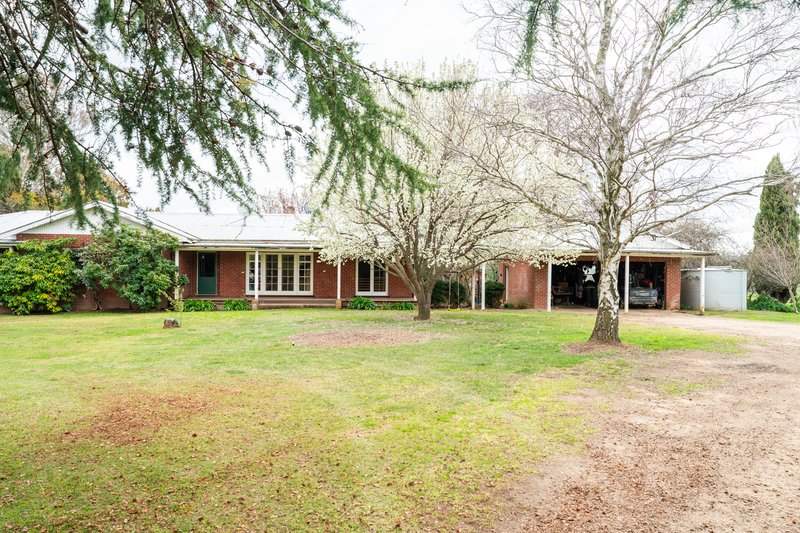 Photo - 242 Back Nacki Creek Road, Sharps Creek NSW 2729 - Image 15