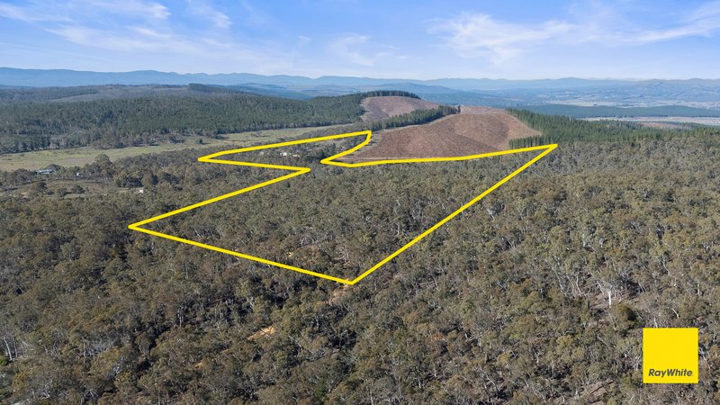 Photo - 242 Bingley Way, Wamboin NSW 2620 - Image 11