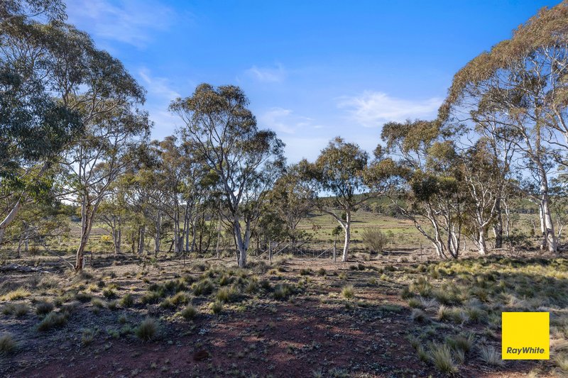 Photo - 242 Bingley Way, Wamboin NSW 2620 - Image 12