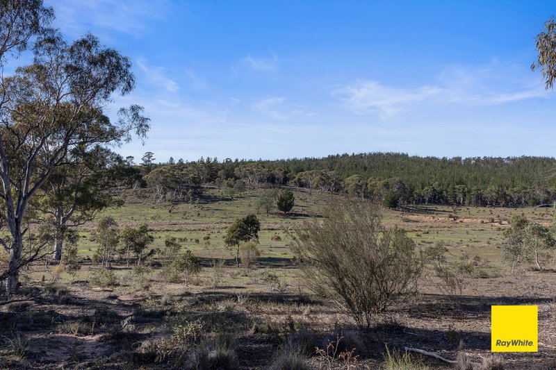 Photo - 242 Bingley Way, Wamboin NSW 2620 - Image 13