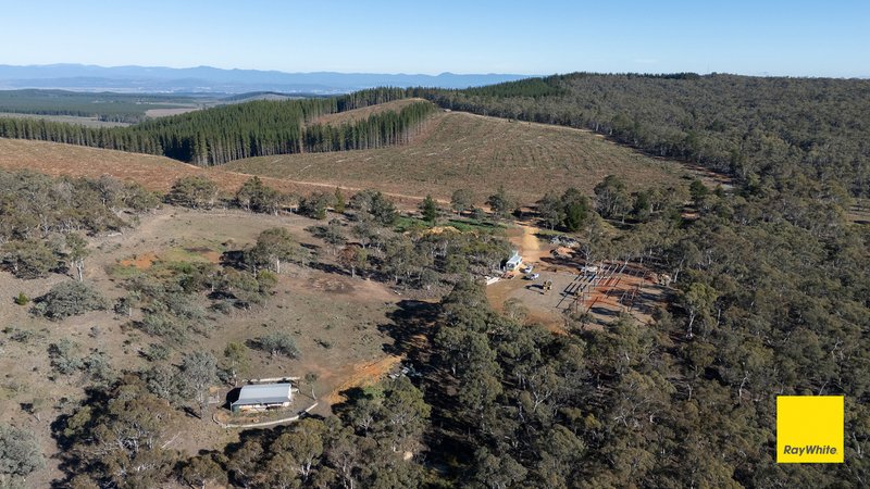 Photo - 242 Bingley Way, Wamboin NSW 2620 - Image 18