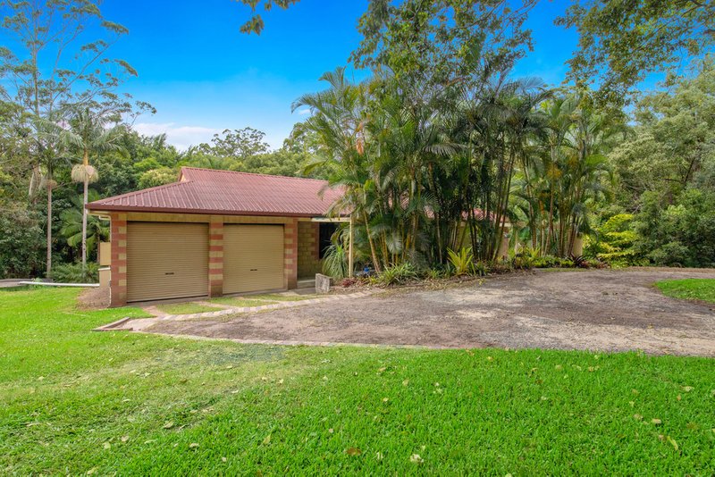 Photo - 242 Diamond Valley Road, Diamond Valley QLD 4553 - Image 4