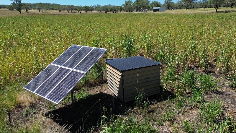 Photo - 242 Ehrlich Road, Linthorpe QLD 4356 - Image 5