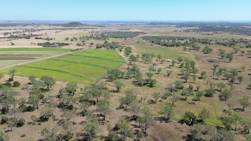 Photo - 242 Ehrlich Road, Linthorpe QLD 4356 - Image 6
