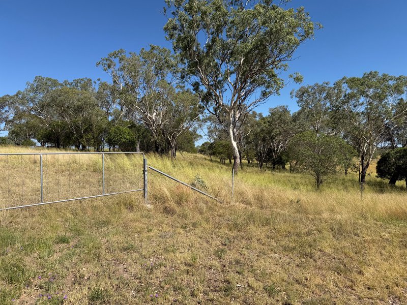 Photo - 242 Ehrlich Road, Linthorpe QLD 4356 - Image 15