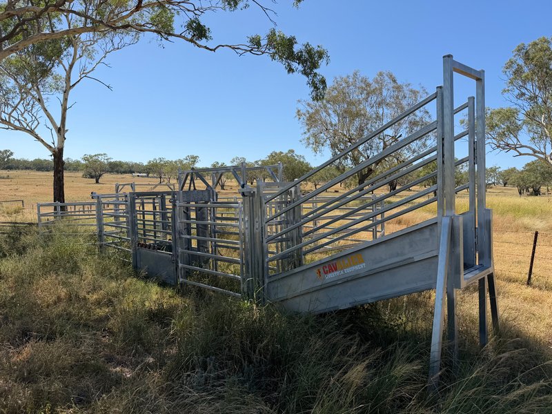 Photo - 242 Ehrlich Road, Linthorpe QLD 4356 - Image 16