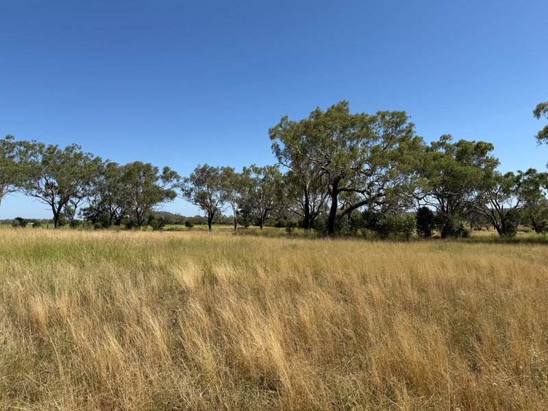 Photo - 242 Ehrlich Road, Linthorpe QLD 4356 - Image 17