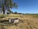 Photo - 242 Ehrlich Road, Linthorpe QLD 4356 - Image 19