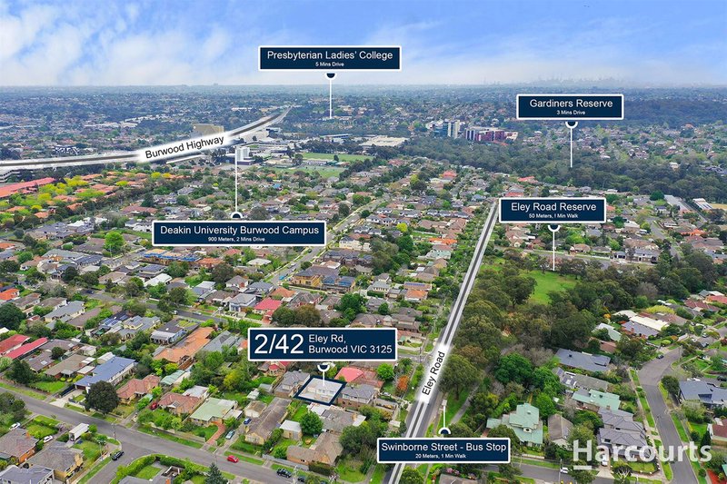 Photo - 2/42 Eley Road, Burwood VIC 3125 - Image 3