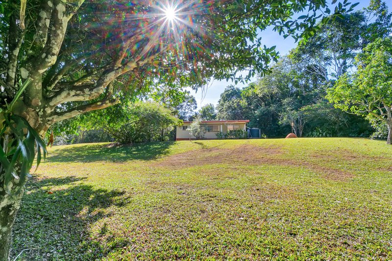 Photo - 242 Ganyan Drive, Speewah QLD 4881 - Image