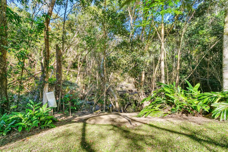 Photo - 242 Ganyan Drive, Speewah QLD 4881 - Image 11