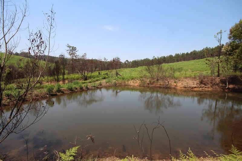 Photo - 242 Gardner Rd , North Deep Creek QLD 4570 - Image 2