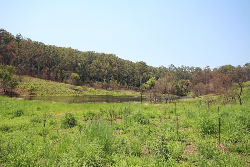 Photo - 242 Gardner Rd , North Deep Creek QLD 4570 - Image 13